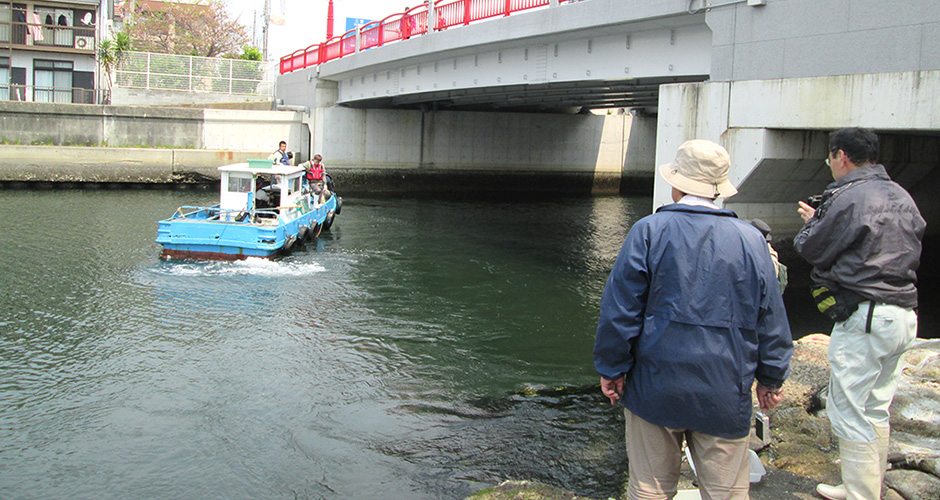 兵庫運河において、水辺ネットの会の皆様と当会の会員の兵庫漁業協同組合の青年部の方が兵庫運河に生息する生きものの調査を実施されました。