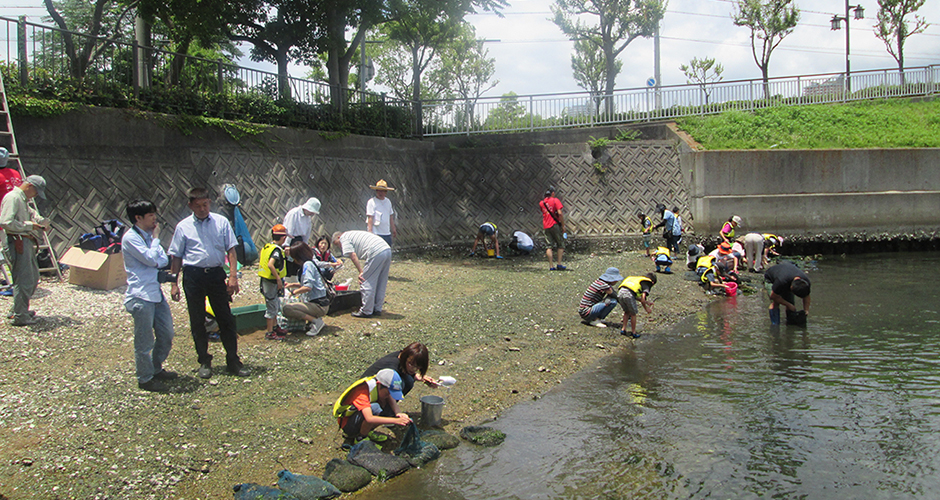 ６月２８日（日）に神戸市環境局主催の「こうべエコちゃれゼミ」のイベント「兵庫運河を探検しよう！～こんなところにも生き物が！～」が開催されました。