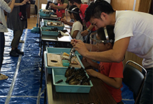 ６月２８日に当会も会員になっています『兵庫運河・真珠貝プロジェクト』の移植式が兵庫工業高校で開催されました。