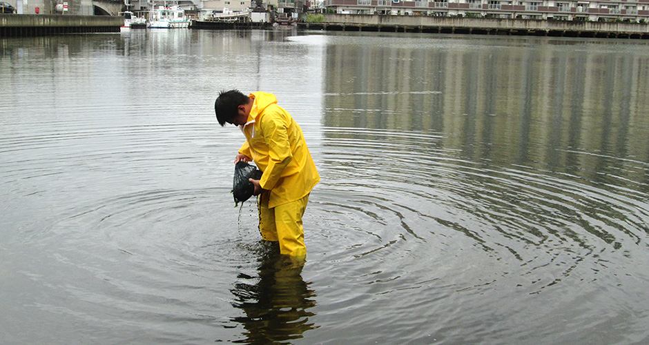 ９月９日（水）に兵庫漁業協同組合の水産研究会が以前から実施しているアサリ育成実験の天然アサリ採集袋の取り上げと調査のお手伝いをしました。
