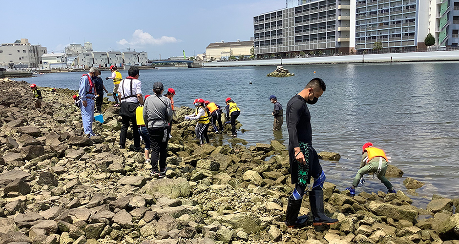 国土交通省大阪湾生物一斉調査が行われました。