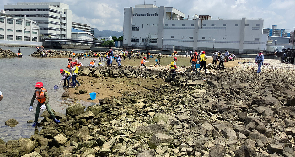 国土交通省大阪湾生物一斉調査が行われました。
