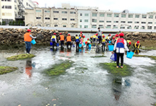２０２２年６月１６日『神戸市立浜山小学校4.5年生による、あつ浜調査が行われました。』