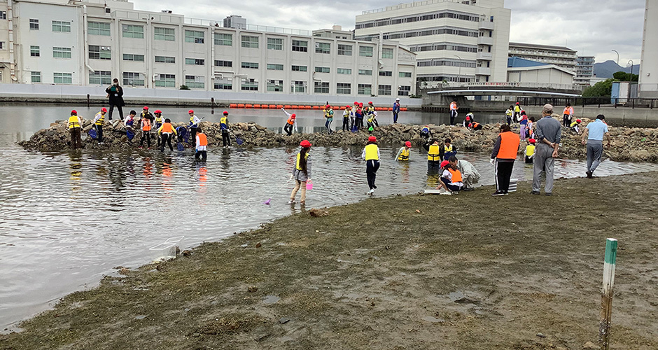 小学生参加型大阪湾一斉調査が行われました。