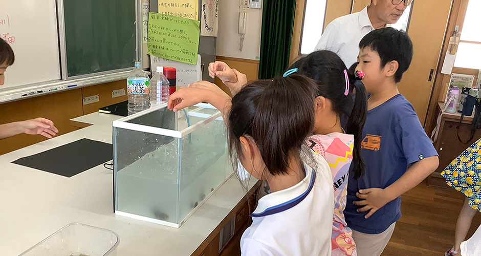 浜山小学校３年生、環境体験学習「アサリプロジェクト」５年生、兵庫運河についての学習が行われました。