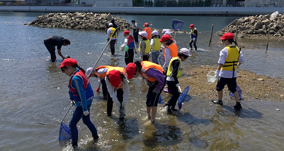 浜山小学校3年生、5年生の観察会、生き物調査が行われました。