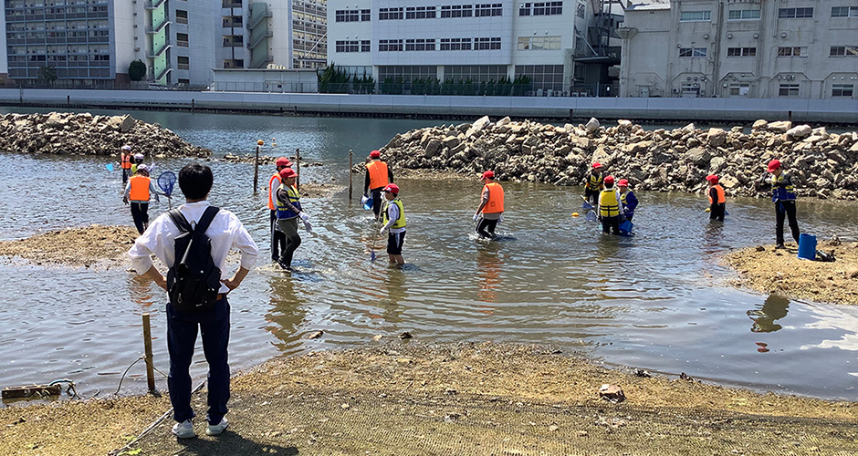 浜山小学校3年生、5年生の観察会、生き物調査が行われました。